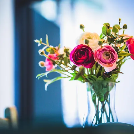 Ferde és Appartement